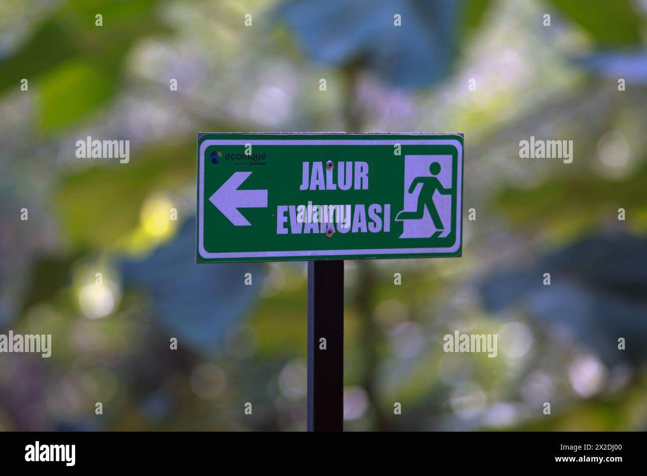 Evakuierungsweg-Schild mit unscharfem Blatthintergrund Stockfoto