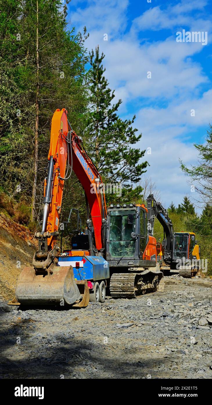 Forstbetriebe in South Gwynedd Wales UK Stockfoto