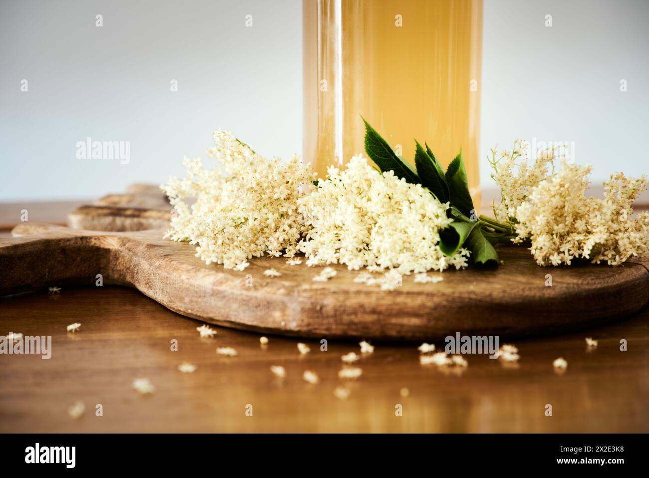 Frische hausgemachte Holunderblüten herzliche Nahaufnahme mit kleinen weißen Blumen und einem Flaschendetail mit dem süßen Getränk. Zuckerhaltiges Frühlingsaroma oder Vibes Stockfoto