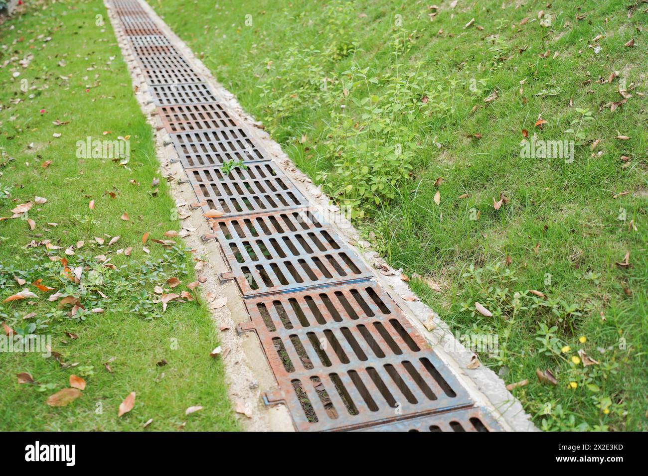 Entwässerung Rostgitter in der Landschaft zur Entwässerung von Regenwasser im Laubbuschgartenbeet mit grünem Grasmulchen im Hinterhofgarten. Stockfoto