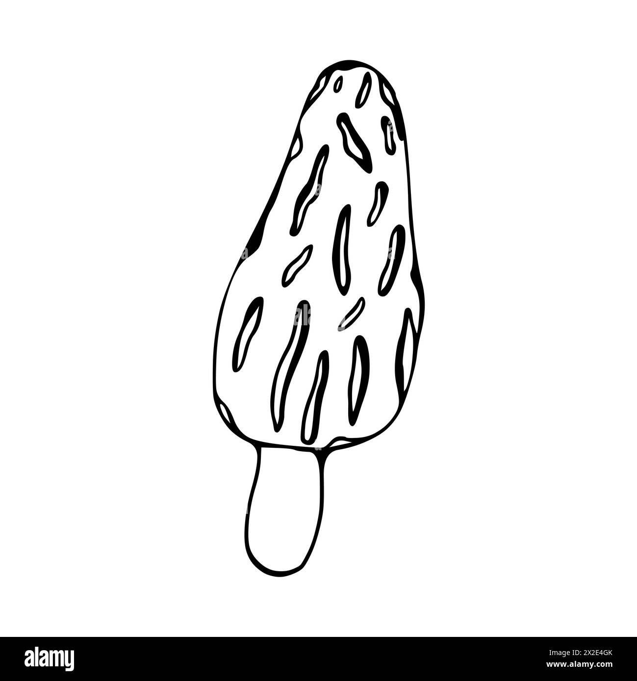 Illustration des Morchelgiftpilzes, Krötenhocker. Kritzeleien. Handgezeichnet. Vektor auf weißem Hintergrund isoliert. Stockfoto