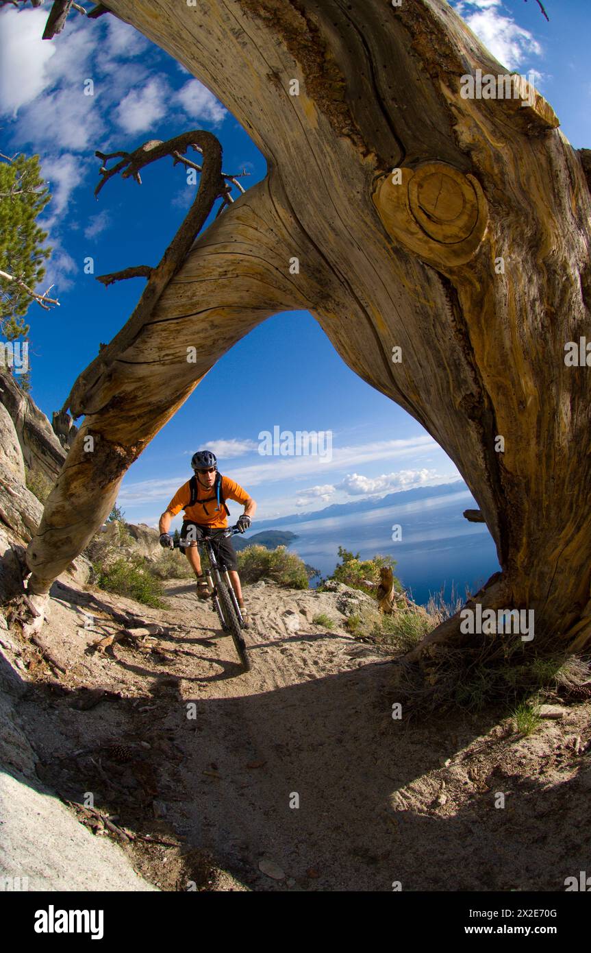 Radfahrer in Lake Tahoe, NV Stockfoto