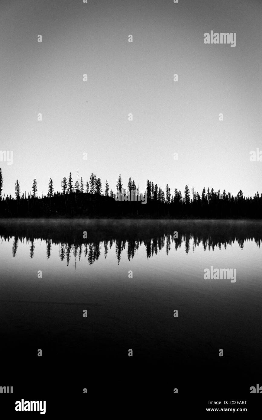 Bäume spiegeln sich perfekt in stillen Gewässern des Sees, schwarz-weiß Stockfoto