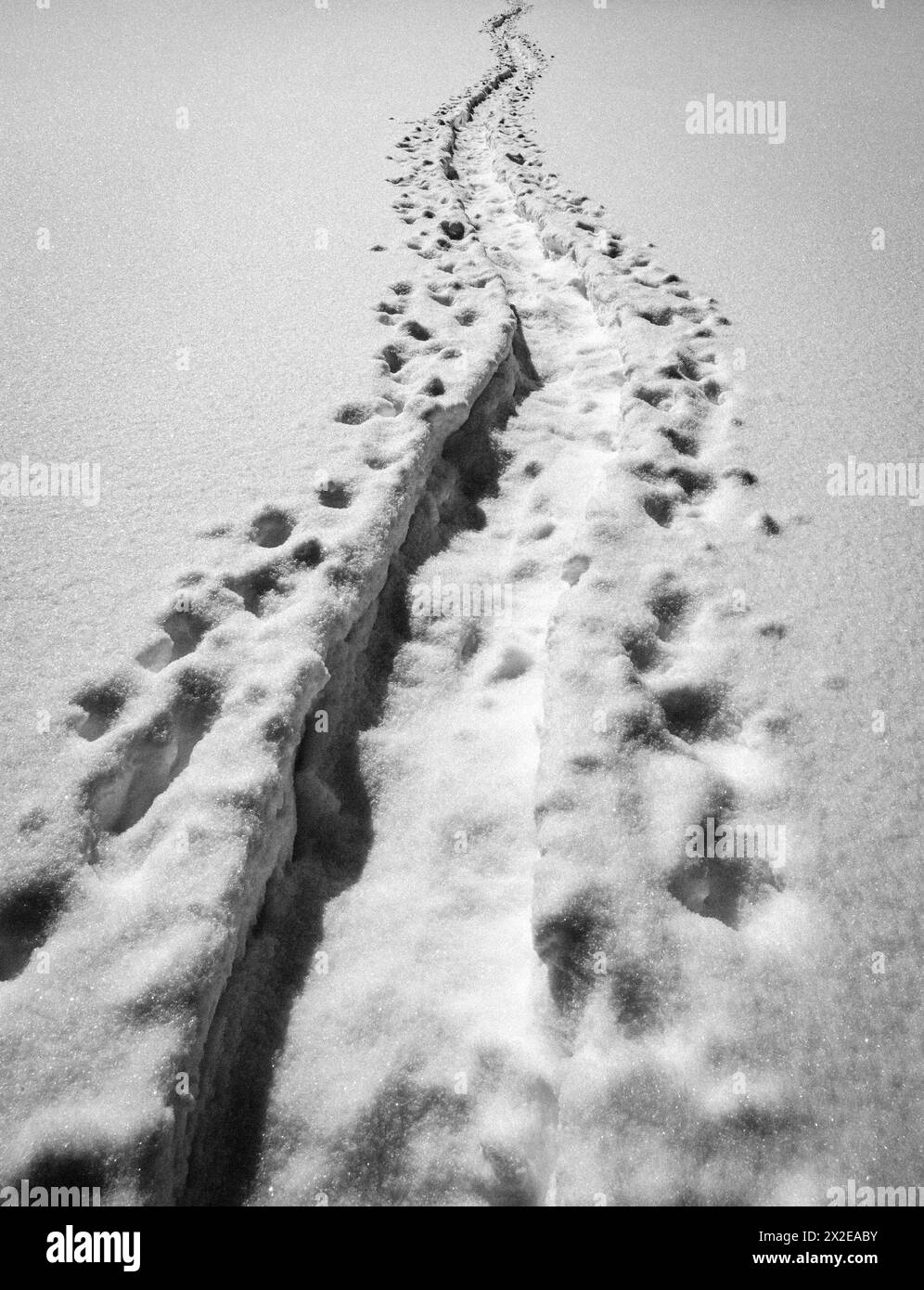 Schneebedeckter Fußweg windet sich in Richtung Horizont, frischer Schnee Stockfoto