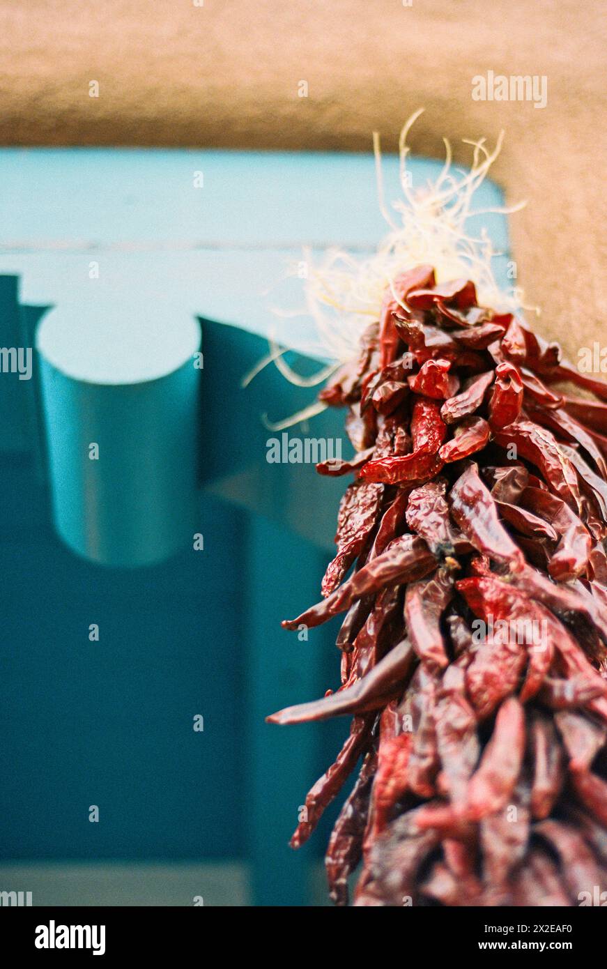 Red Chile in Santa Fe New Mexico Stockfoto