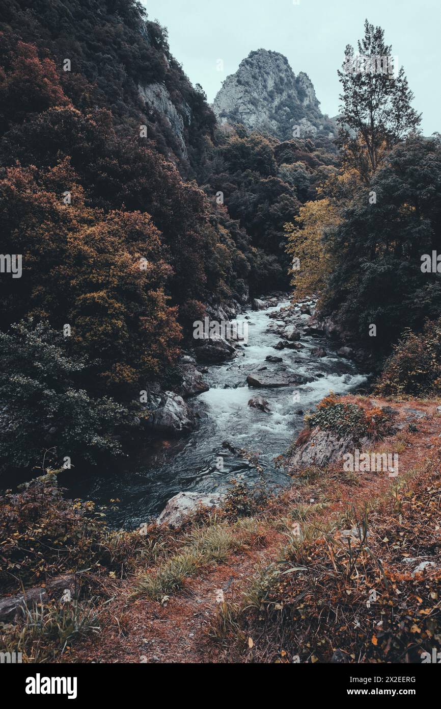 Der Fluss Asturias ist im Frühling von Vegetation umgeben. Stockfoto