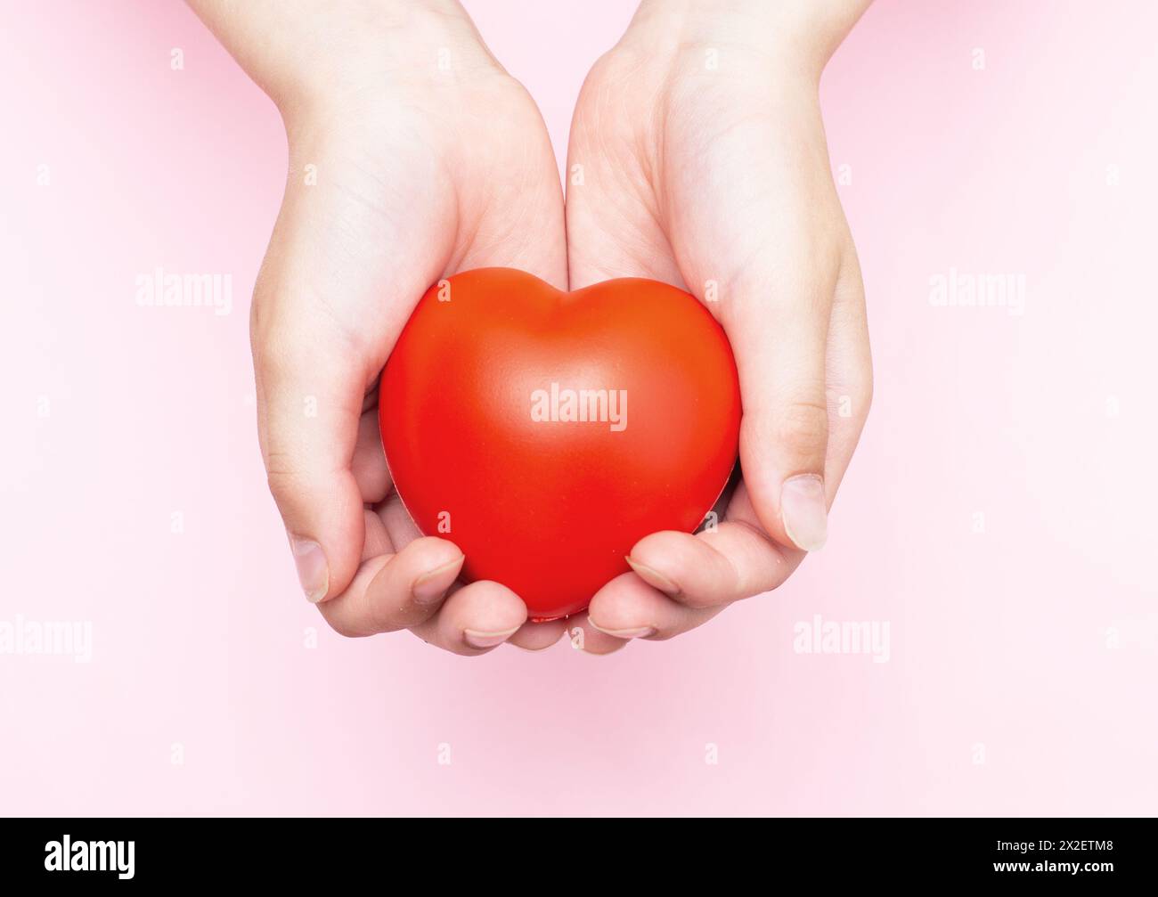 Kinderhände halten ein rotes Herz als Symbol für Pflege, Liebe, Unterstützung und Schutz isoliert auf pinkfarbenem Hintergrund. Kindergesundheitskonzept. Stockfoto