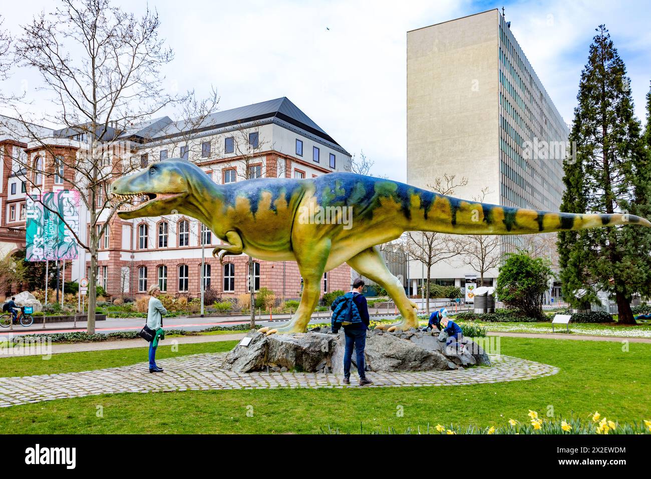 Frankfurt - 31. März 2024: Skulptur des großen Dinosauriers T-Rex vor dem Senckenberg-Museum in Frankfurt. Stockfoto