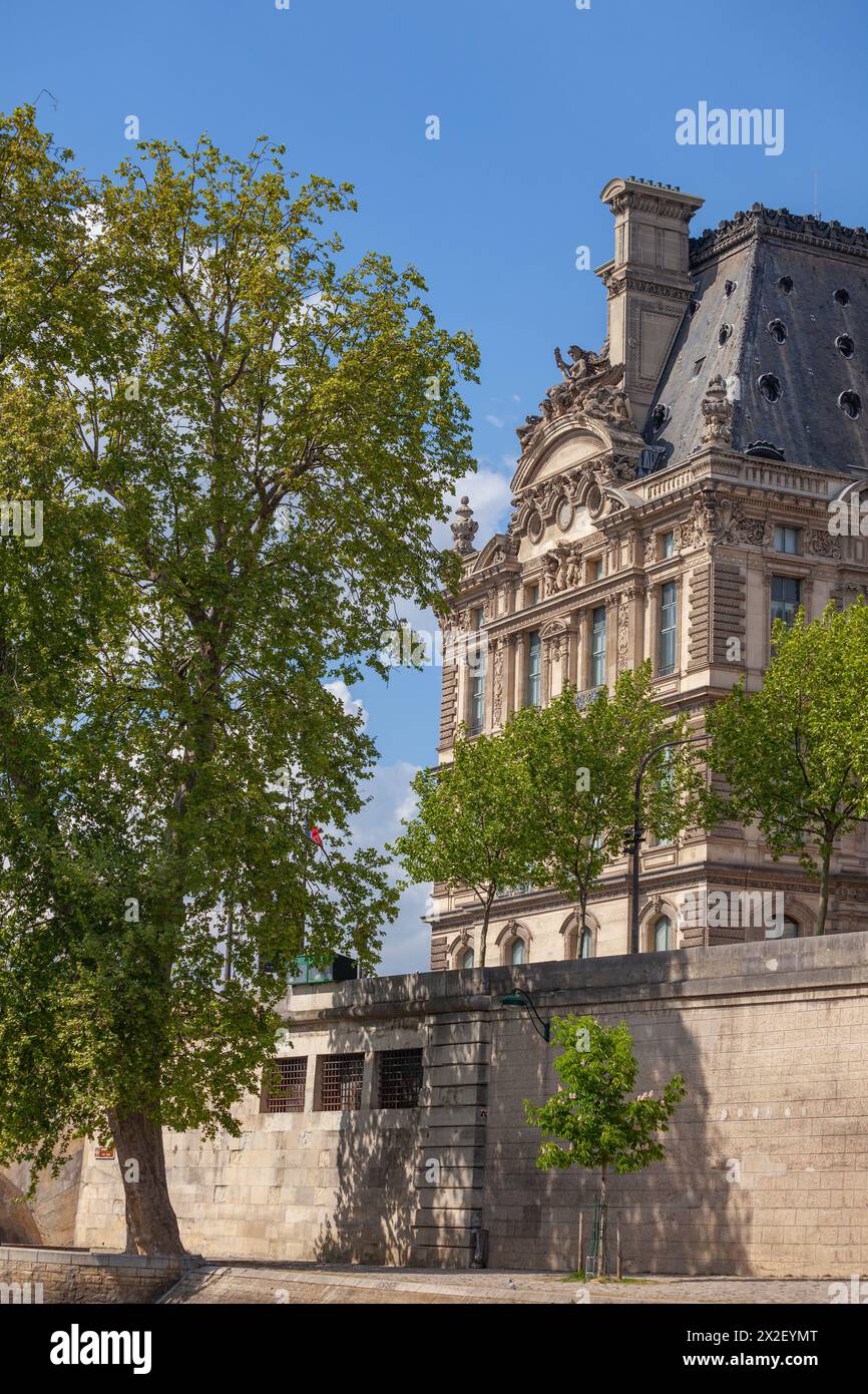 Grüne Bäume säumen den berühmten Louvre unter einem klaren Himmel. Stockfoto
