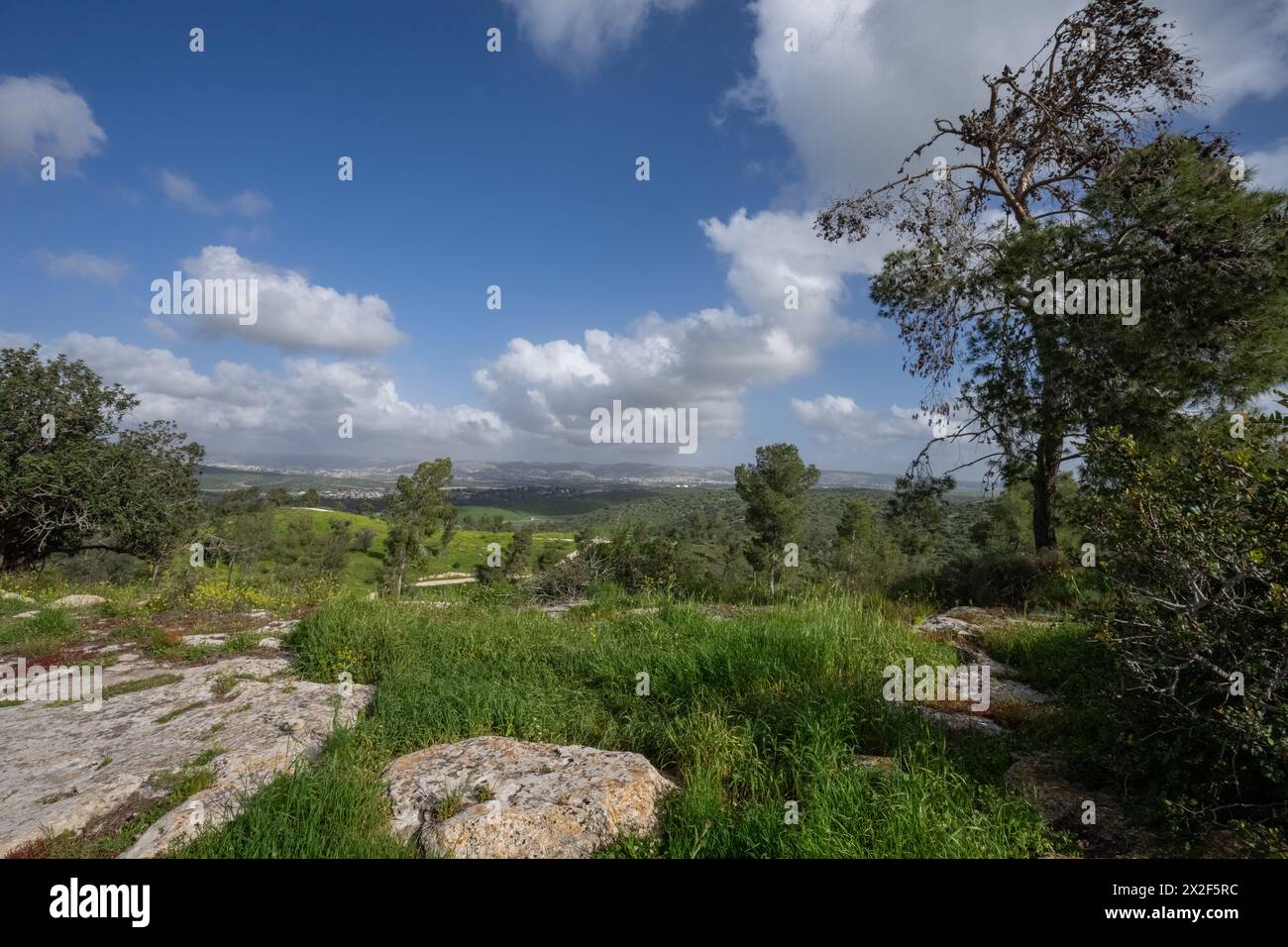 Judäische Ausläufer, israelische Landschaft Stockfoto