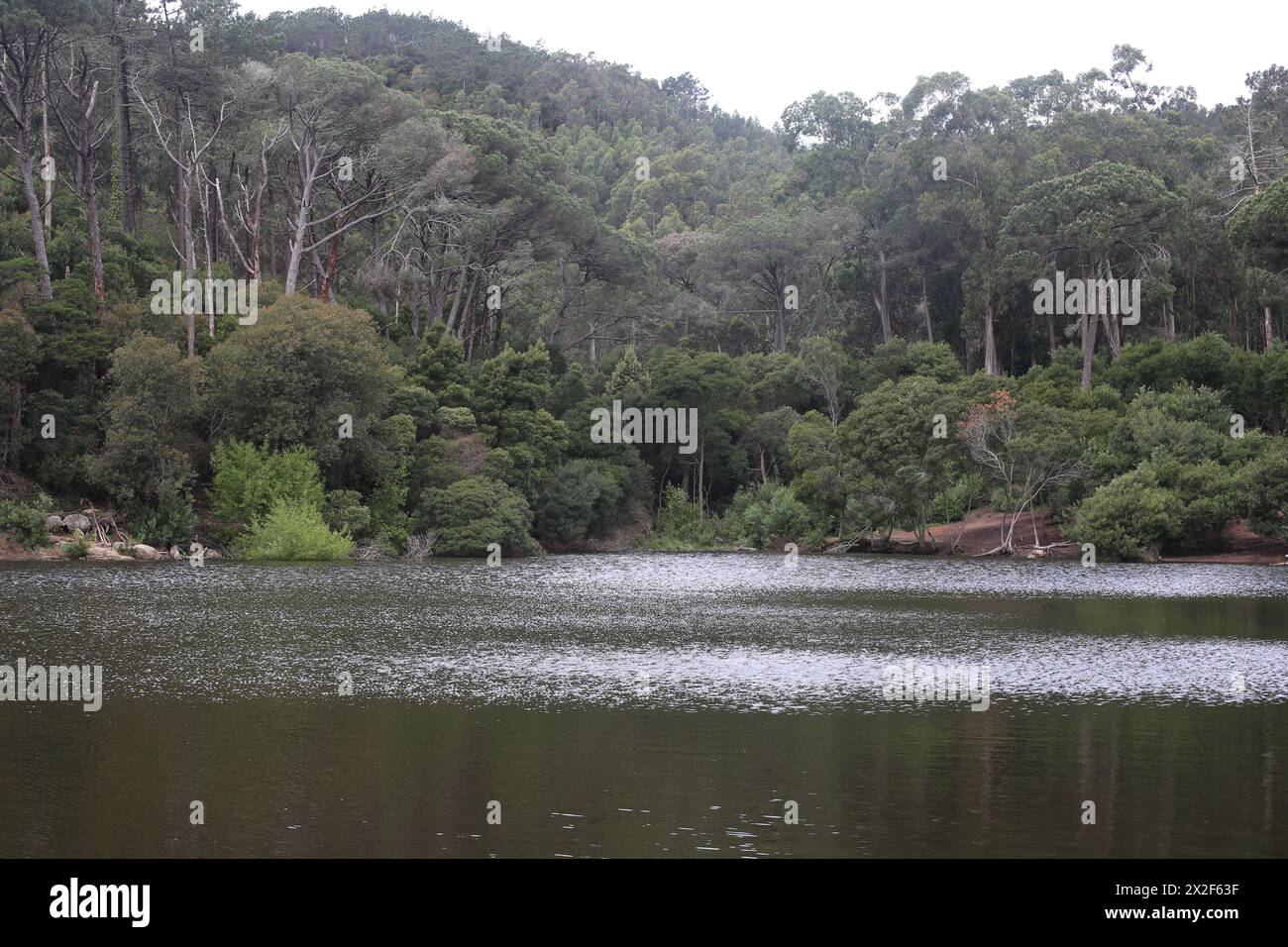 Lagoa Azul in Sintra, Portugal Stockfoto