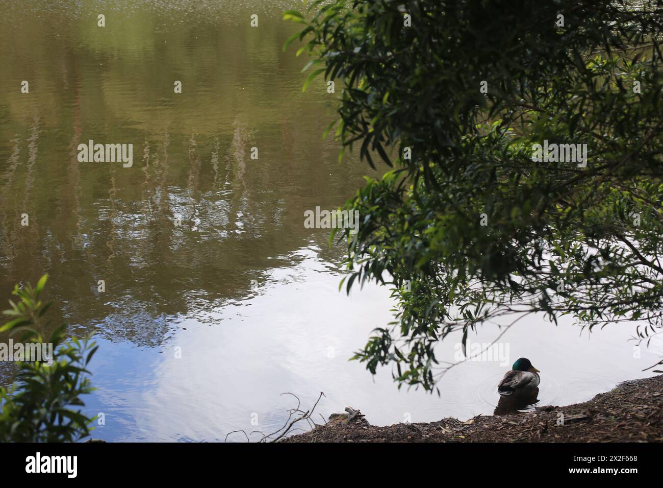 Lagoa Azul in Sintra, Portugal Stockfoto