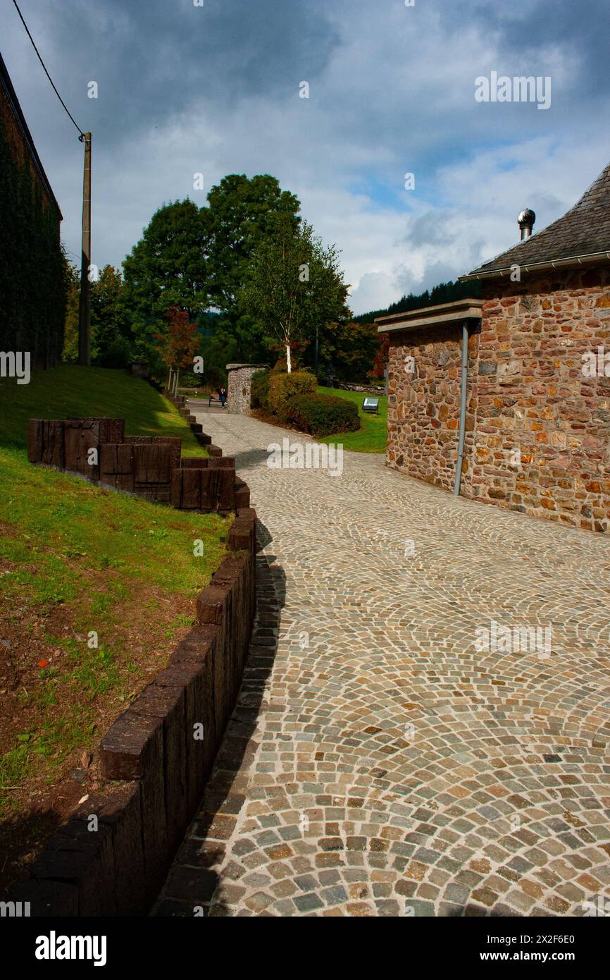Pflastersteine in den Ardennen, Belgien Stockfoto