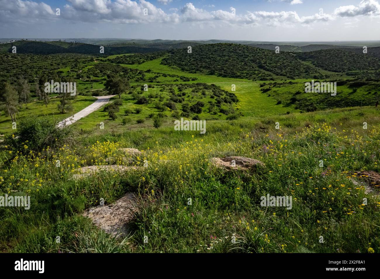 Judäische Ausläufer, israelische Landschaft Stockfoto