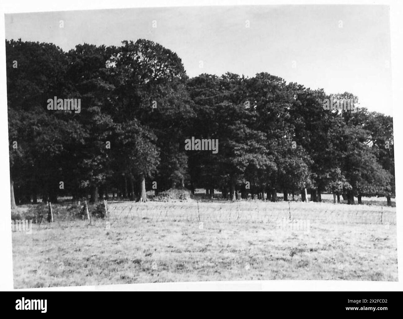 Getarnte Strong Points, die von Einheiten der britischen Armee bemannt werden, befinden sich im Windsor Great Park. Stockfoto