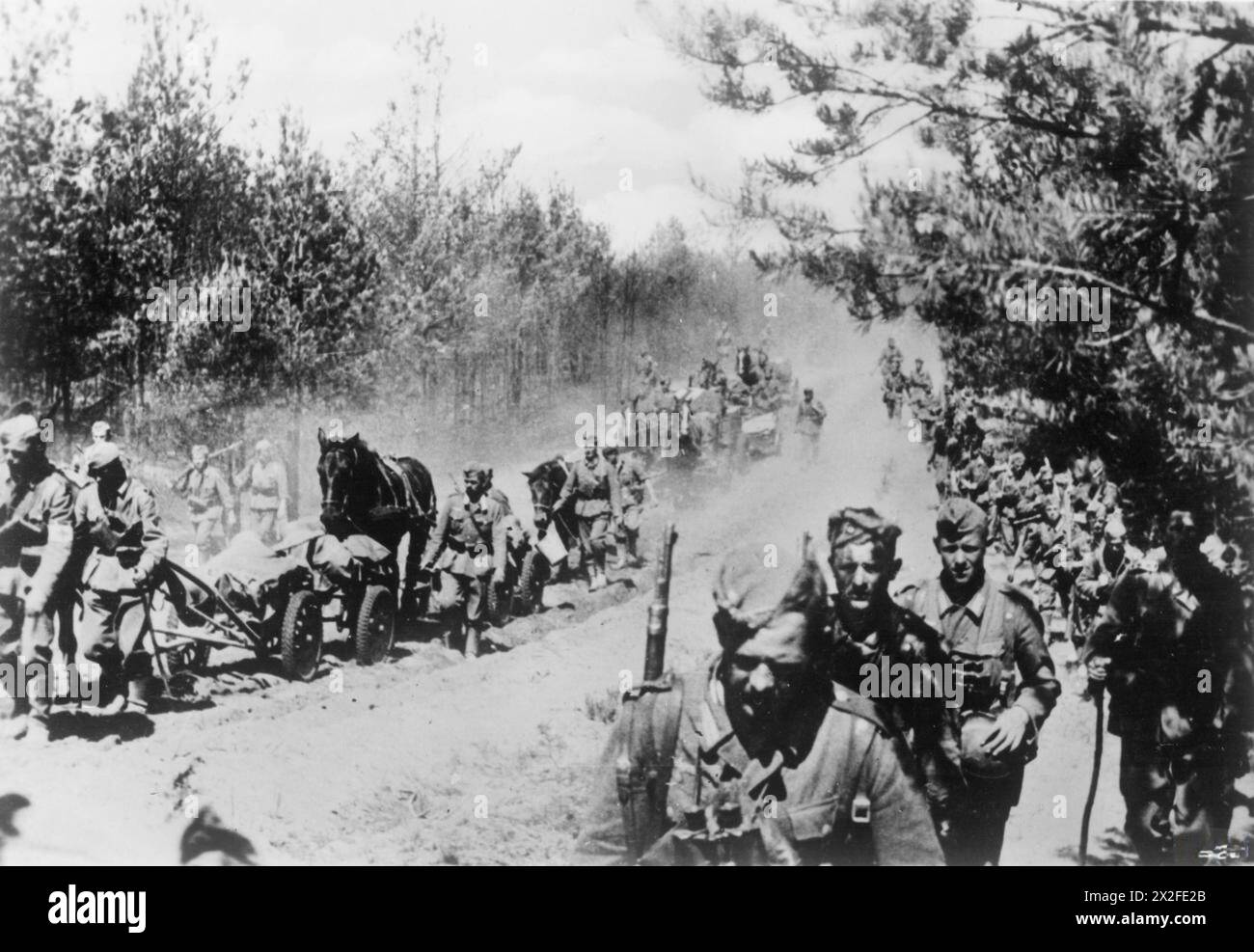 Eine Kolonne deutscher Pferdeartillerie bewegt sich während des Vormarsches auf Kiew am 1-9. September 1941 im Rahmen der Operation Barbarossa auf staubigen Straßen in der südlichen sowjetischen Ukraine. Stockfoto