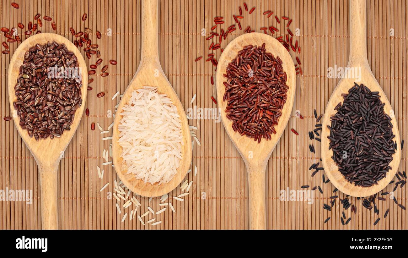 Vier Holzlöffel stellen verschiedene Reisarten dar: Basmati, Wild, Unpoliert und Braun. Der Bereich stellt verschiedene Körner dar, die in Internationa verwendet werden Stockfoto
