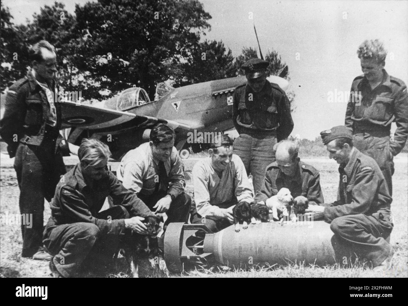 DIE POLNISCHE LUFTWAFFE IN DER SCHLACHT IN DER NORMANDIE, JUNI-SEPTEMBER 1944 - Kommandant des Flügels Stanisław Skalski (dritter von rechts), Kommandeur des Polnischen Flügels Nr. 131 (2. Taktische Luftwaffe) und Piloten des Polnischen Jagdgeschwaders Nr. 315, die mit Welpen auf einer Bombe spielen, Juli 1944 polnische Luftwaffe, polnische Luftwaffe, 315 Jagdgeschwader „Stadt Dęblin“, Skalski, Stanisław Stockfoto