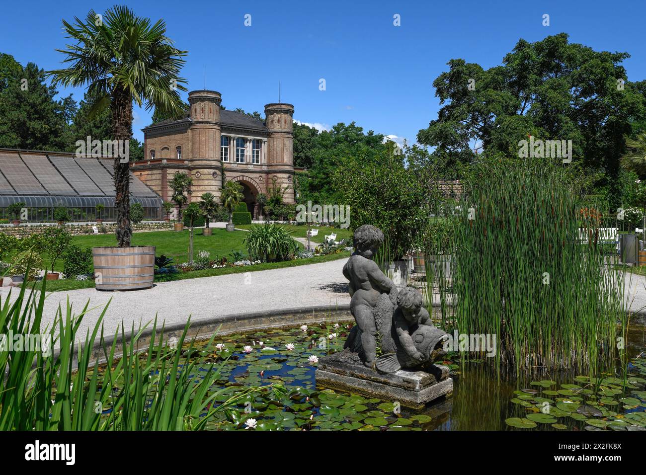 Geographie / Reise, Deutschland, Baden-Württemberg, Karlsruhe, botanischer Garten, KARLSRUHE, ADDITIONAL-RIGHTS-CLEARANCE-INFO-NOT-AVAILABLE Stockfoto