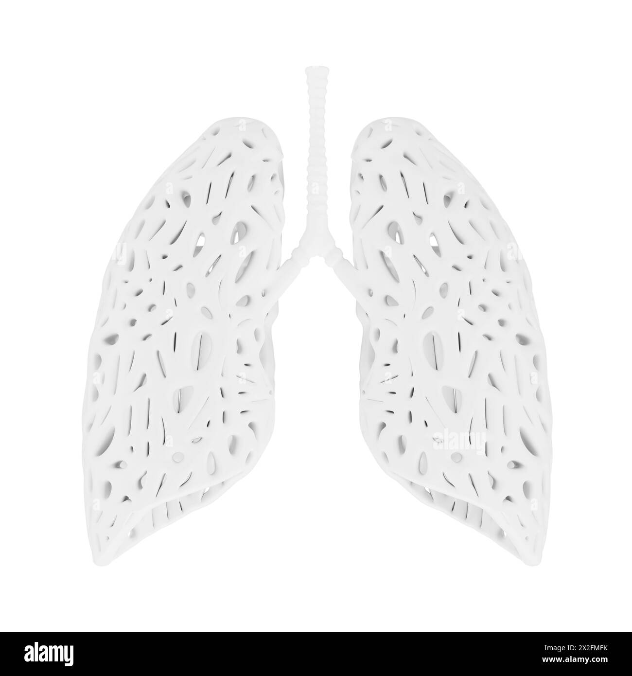 Weißes abstraktes Lungen-Organ-Modell im Ton-Stil auf weißem Hintergrund. 3D-Rendering Stockfoto