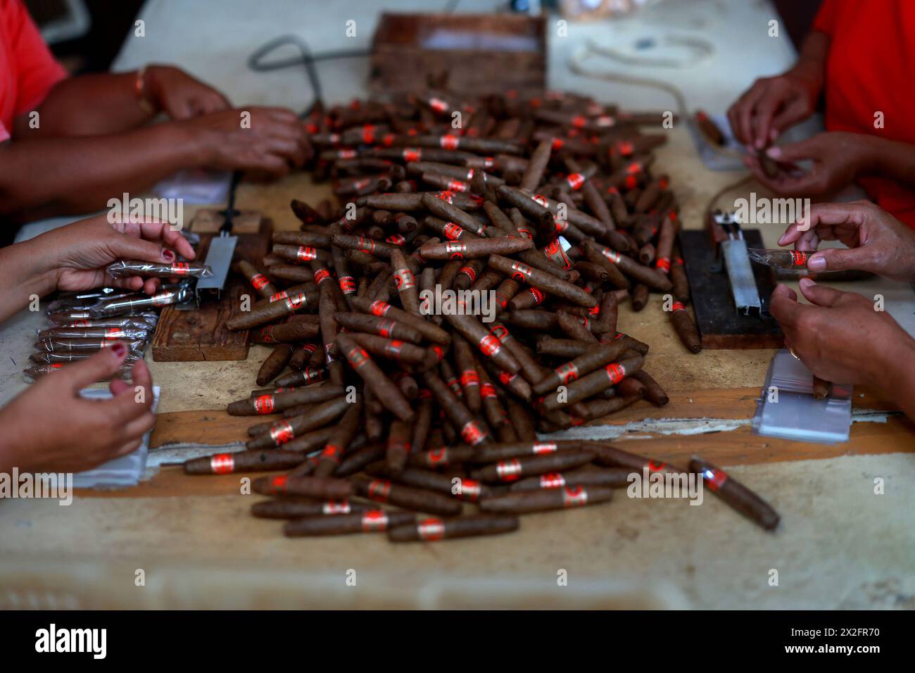 (240422) -- TEMANGGGUNG, 22. April 2024 (Xinhua) -- Arbeiter verpacken Zigarren in einer Zigarrenfabrik in Temanggung, Zentral-Java, Indonesien, am 22. April 2024. (Foto: DWI Prasetya/Xinhua) Stockfoto