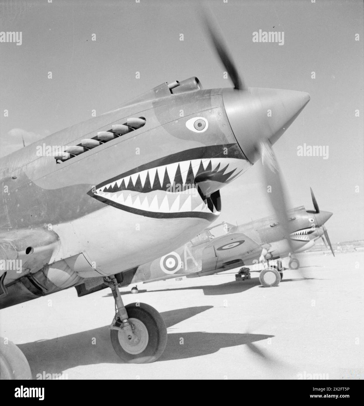 Curtiss Tomahawks Mark IIB von No. 112 Squadron RAF auf LG 102, Sidi Heneish, Ägypten, mit dem Flugzeug „Menace“, das von dem Flying Officer N. Bowker geflogen wurde, und dem ersten öffentlichen Auftritt des Sharkmouth-Abzeichens der Geschwader, 1939–1943. Stockfoto