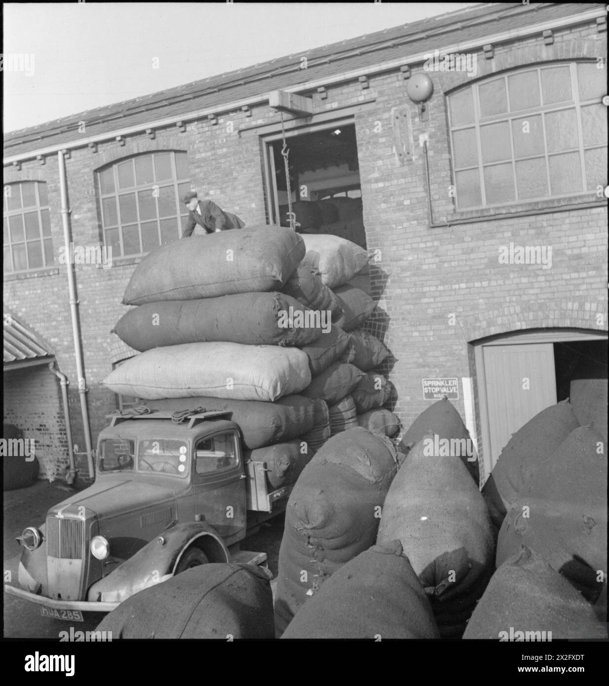 ALTE LAPPEN IN NEUES TUCH: BERGUNG IN GROSSBRITANNIEN, APRIL 1942 - Arbeiter laden große Säcke (sogenannte "Blätter") mit Schutt für den Transport zu Wollfabriken, wo sie mit Schurwolle gemischt werden, bevor sie kardieren und schließlich zu neuem Tuch weben. Die „Blätter“ werden hoch auf der Rückseite des Lkws gestapelt, und es können weitere Säcke neben dem Fahrzeug gesehen werden, die auf den Transport warten Stockfoto