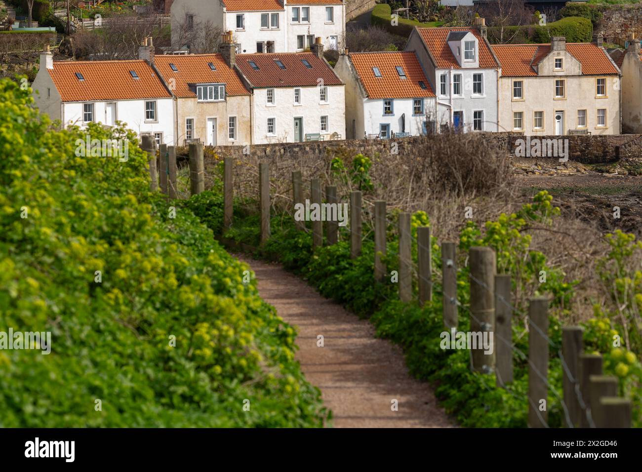 Der Fife Coastal Path führt in das historische Küstendorf Pittenweem, Fife, Schottland Stockfoto