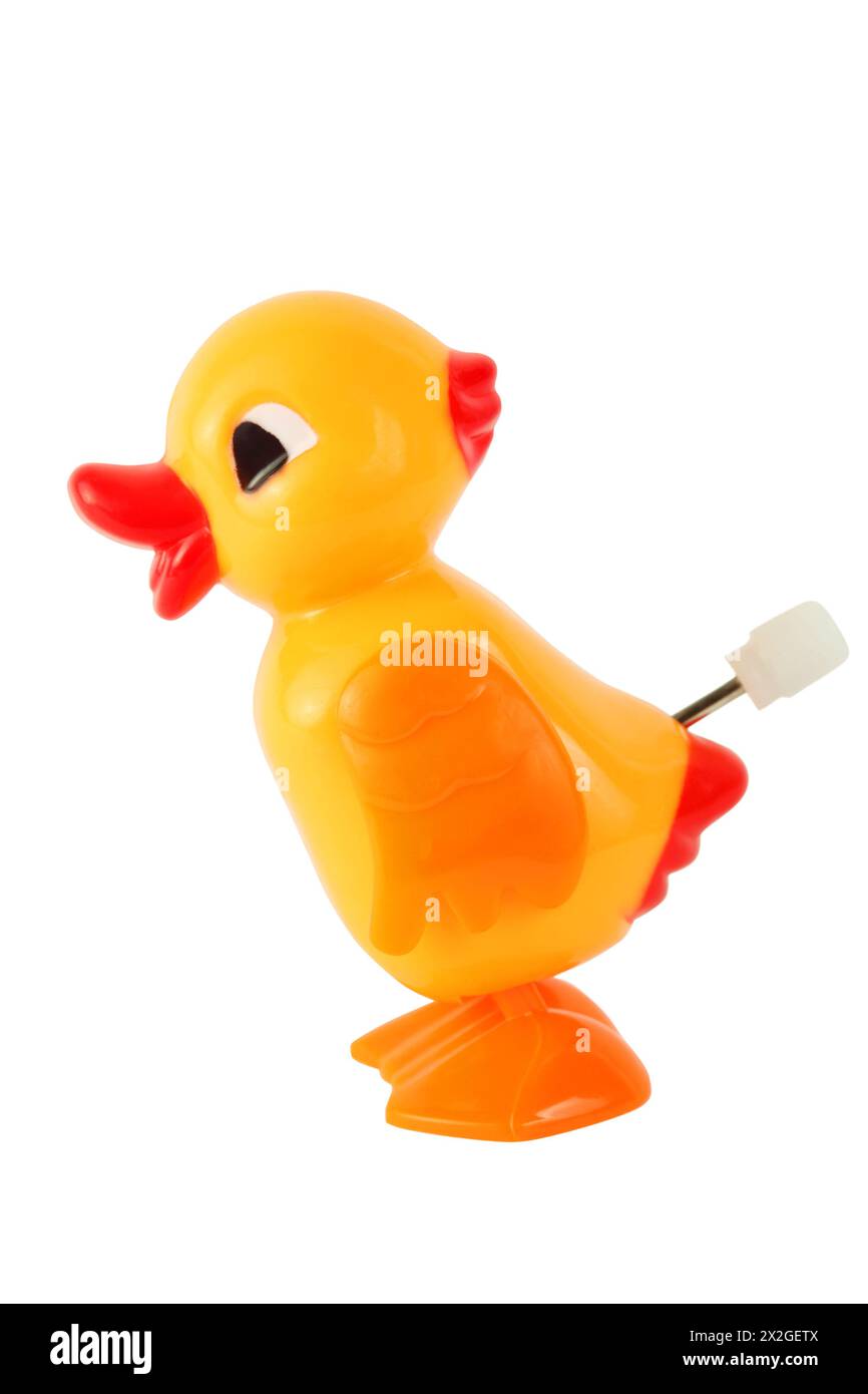 Lustiges Spielzeug Uhrwerk gelbe Ente isoliert auf weißem Hintergrund Stockfoto