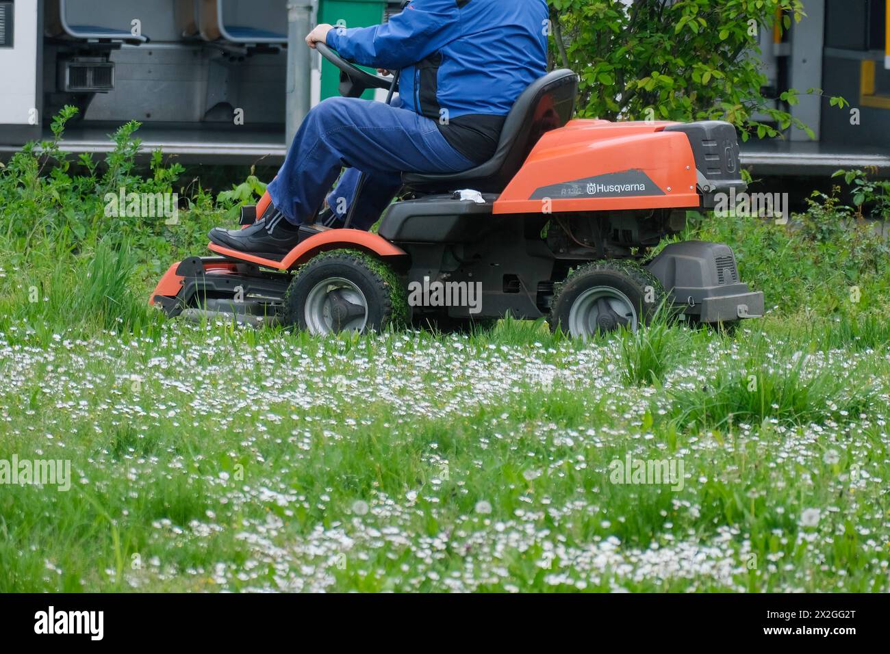 Düsseldorf 22.04.2024 Rasenmäher Gartenarbeit Rasenfläche Sommertrockenheit Insekten Rasen Garten Insekten insektenfreundlich Blumenwiese Schmetterlinge Wildbienen Käfer Heuschrecken Blühwiese Blühwiesen biologische Vielfalt Naturschutz Husqvarna R13C Düsseldorf Nordrhein-Westfalen Deutschland *** Düsseldorf 22 04 2024 Rasenmäher Gartenarbeit Rasen Sommer Dürre Insekten Rasen Garten Insekten insektenfreundliche Blumenwiese Schmetterlinge Wildbienen Käfer Heuschrecken blühende Wiese blühende Wiesen Biodiversität Naturschutz Husqvarna R13C Düsseldorf Nord Rhein-Westfalen Deutschland Stockfoto