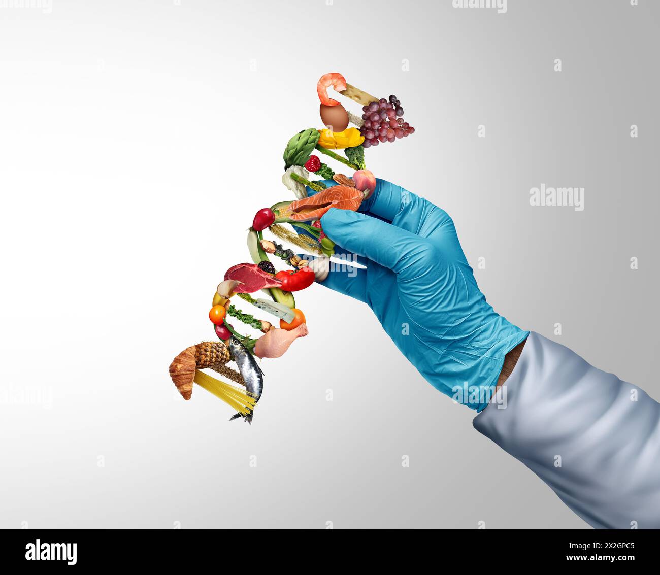 Ernährungswissenschaftler und Lebensmittelwissenschaftler als Ernährungswissenschaftler oder Labortechniker mit Nährstoffen und Lebensmitteln als genetischer DNA-Strang, der GVO oder Gen-edi repräsentiert Stockfoto