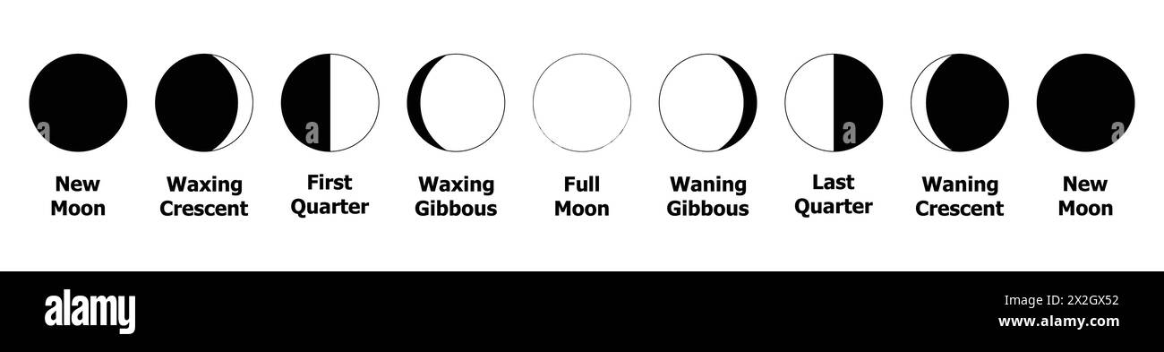 Phasen des Mondes. Symbolvektorsatz der Mondphase. Eclipse Illustrationsdekoration. Neuer Vollmond-Wachs-Halbmond Im Ersten Letzten Viertel, Der Nach Unten Geht. Stock Vektor