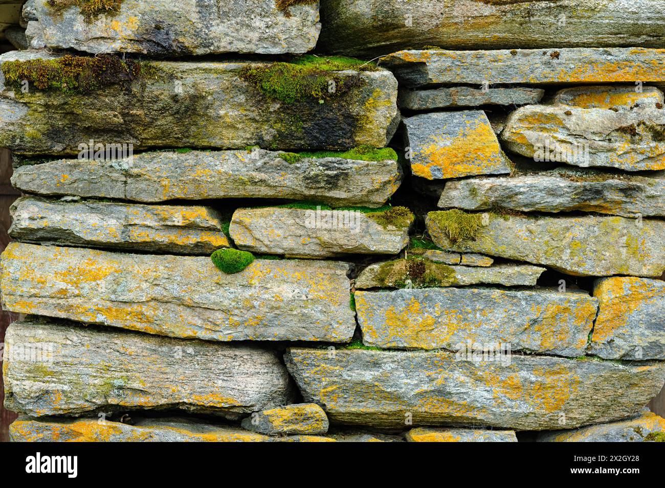 Nahaufnahme einer alten Steinmauer mit lebendigem Moos und Flechten, die einen Hauch von Leben verleihen. Stockfoto