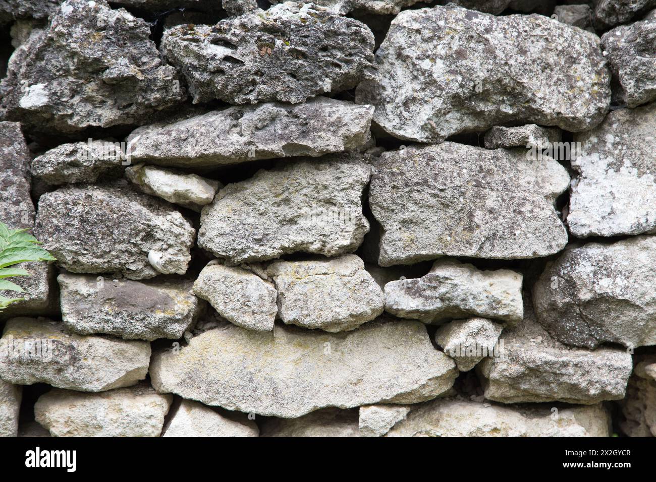 Graue Wand aus pf großem Runnle Stone. Sie nimmt die gesamte Oberfläche des Bildes ein. Nahaufnahme. Stockfoto Graue Wand aus pf großem Runnle Stone. Sie nimmt die gesamte Oberfläche des Bildes ein. Nahaufnahme. Stockfoto