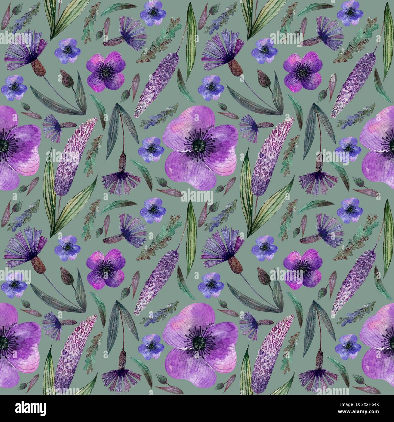 Nahtlose Muster Wiese Flieder Blumen und Kräuter, Kornblumen, auf grünem Hintergrund Stockfoto