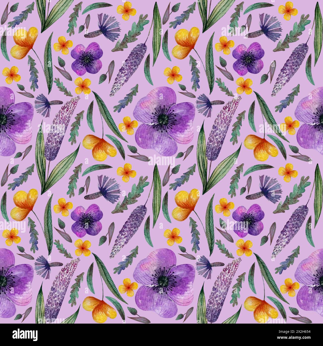 Nahtlose Muster Wiese lila gelbe Blumen und Kräuter, Kornblumen, auf lila Hintergrund Stockfoto