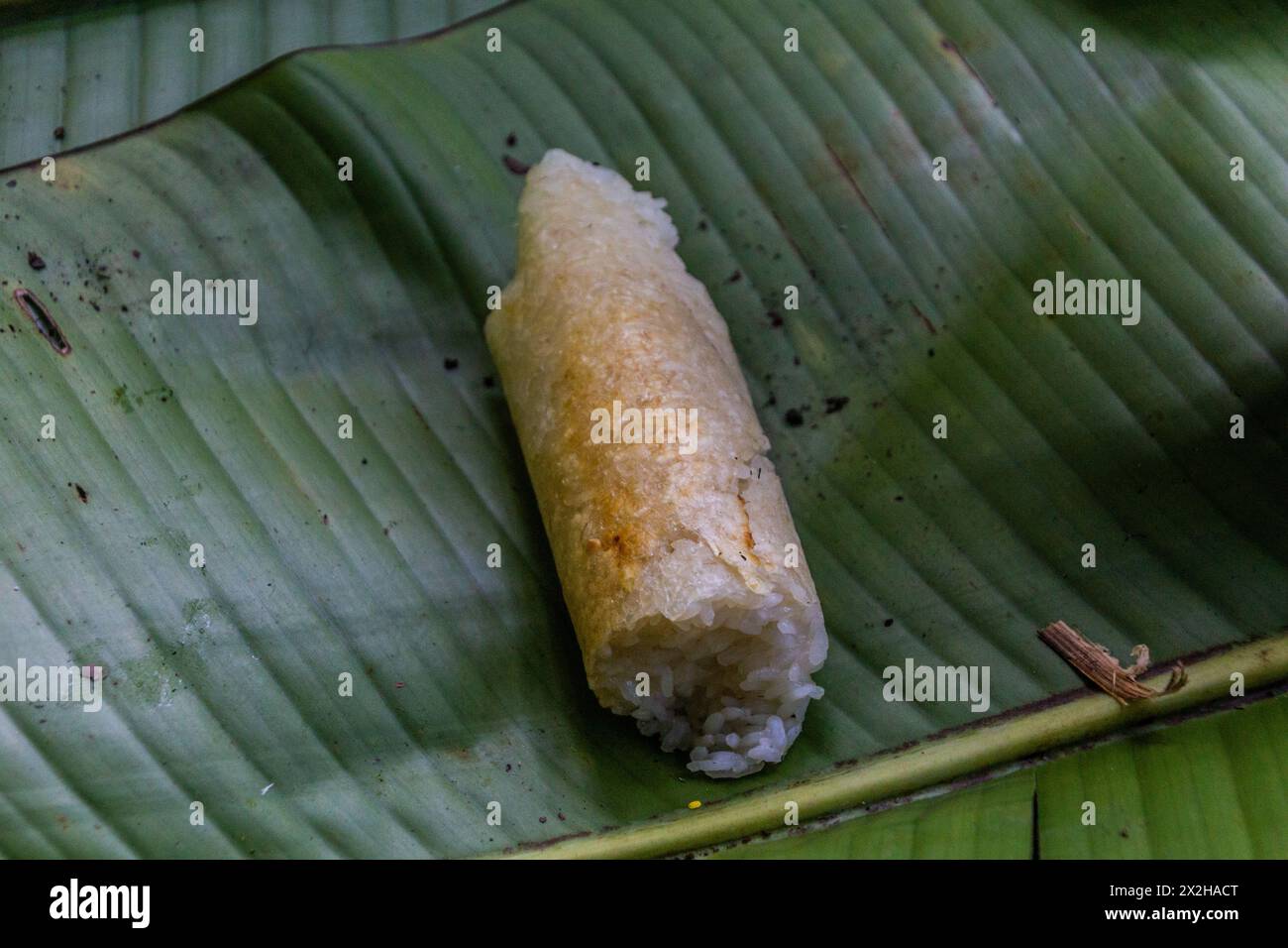 Stück Klebreis auf einem Bananenblatt in Laos Stockfoto