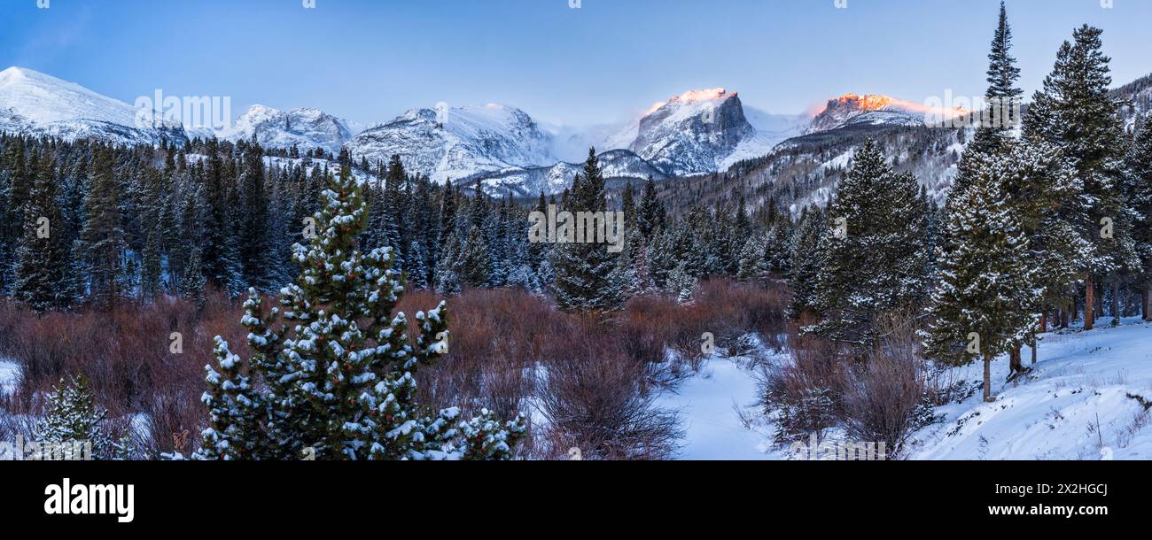 Das erste goldene Licht des Tages traf den Hallett Peak und den Flattop Mountain auf der kontinentalen Wasserscheide, mit frischem Schnee auf dem Baum darunter, Rocky Mountain Natio Stockfoto