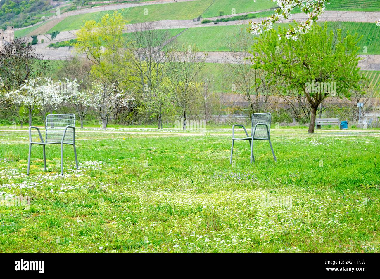 Schöner Park in Europa im Frühling in der Nähe eines Flusses. Zwei Stühle unter dem Baum. Entspannen Sie sich in der Natur. Stockfoto