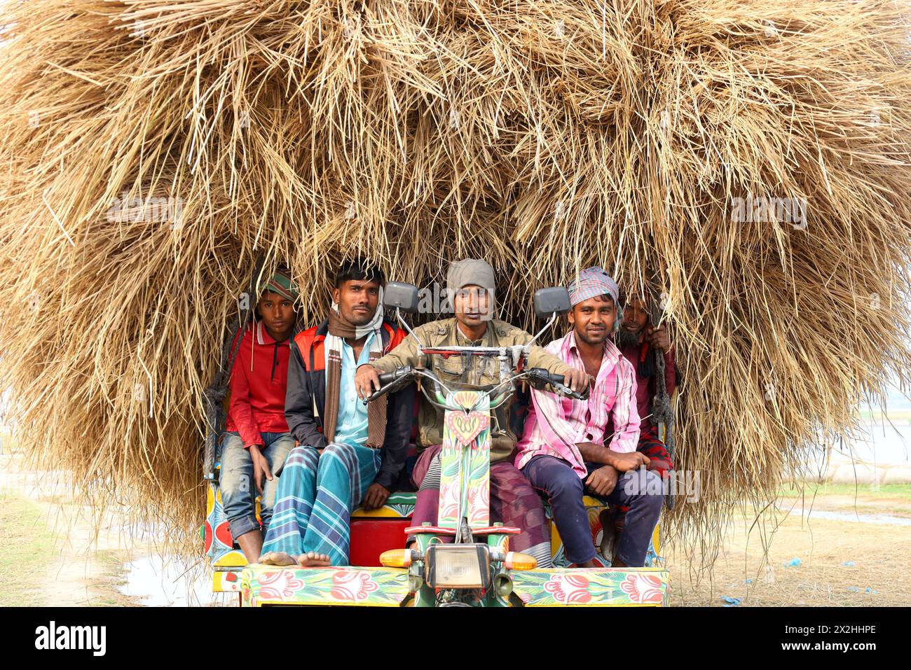 Kazipur, Sirajganj, Bangladesch. April 2024. Der Fahrer trägt Reisstroh in kleinen Lastwagen und entlädt sich in Kazipur Upazila, Bezirk Sirajganj, Bangladesch. Paddy Stroh ist ein Nebenprodukt für die Landwirte, so dass sie es normalerweise für 7 US-Dollar pro 100 kg an Großhändler verkaufen. Das Stroh wird dann von den Großhändlern für zwischen 8 und 10 US-Dollar verkauft. Die Landwirte verwenden Heu als Futter und Einstreu für ihre Viehzucht. Darüber hinaus wird Stroh für verschiedene andere Zwecke verwendet, darunter Haustüren und eine Form von Biokraftstoff. (Kreditbild: © Syed Mahabubul Kader/ZUMA Press Wire) NUR REDAKTIONELLE VERWENDUNG! Nicht für kommerzielle ZWECKE! Stockfoto