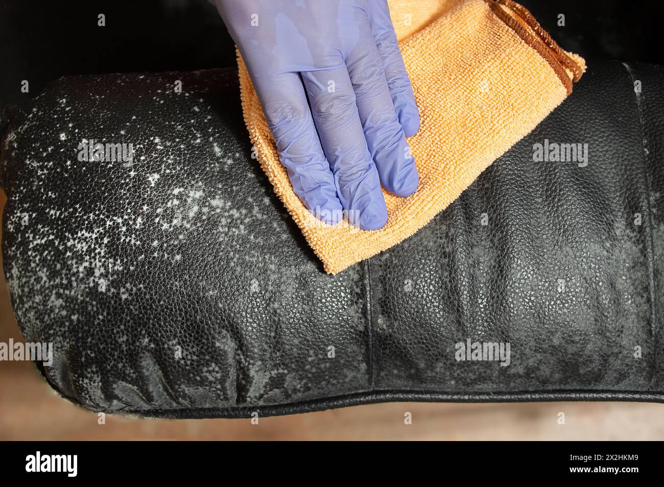 Gekürzte Aufnahme eines unbekannten Mannes, der zu Hause Schimmelcouch putzt Stockfoto