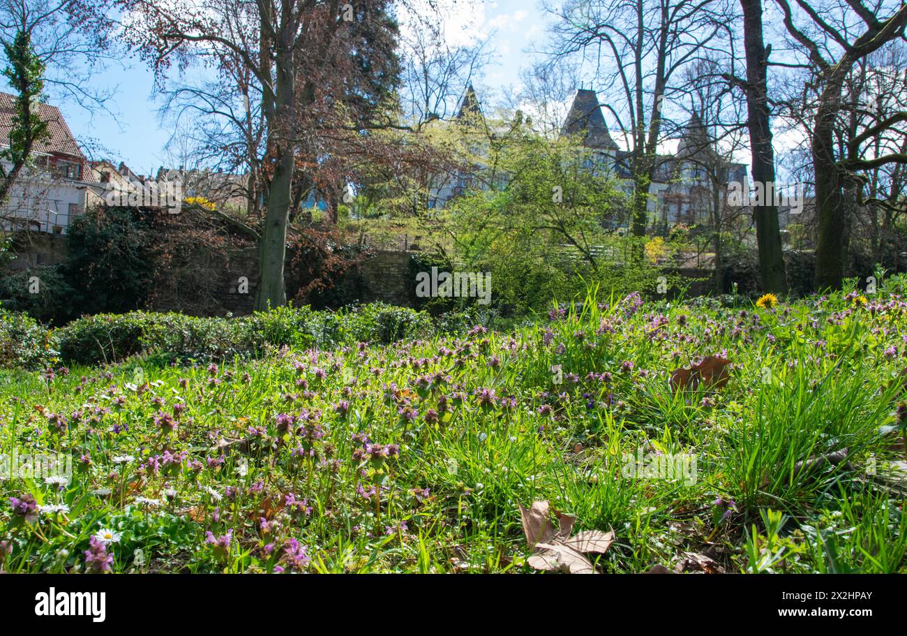 Wunderschöner Park in Europa im Sommer in der Nähe der alten Burg mit vielen Blumen. Stockfoto