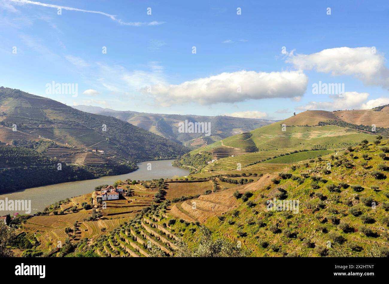 Malerischer Blick auf die Hügel und den Duoro-Fluss im Duoro-Tal, Portugal, Europa Stockfoto