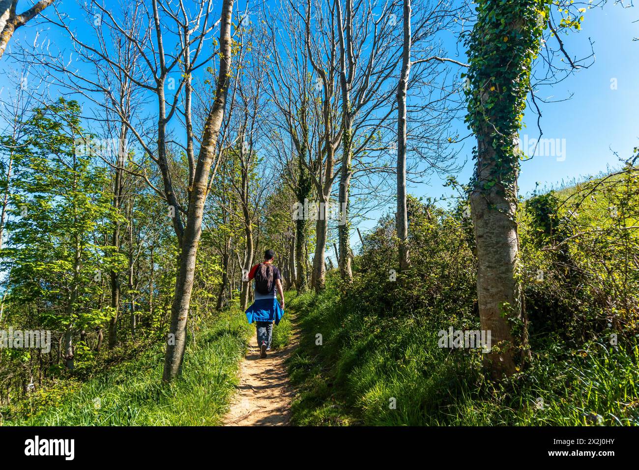 Ein Mann, der durch einen Wald in der Nähe des Zumaia Flysch, Gipuzkoa, läuft. Baskenland Stockfoto