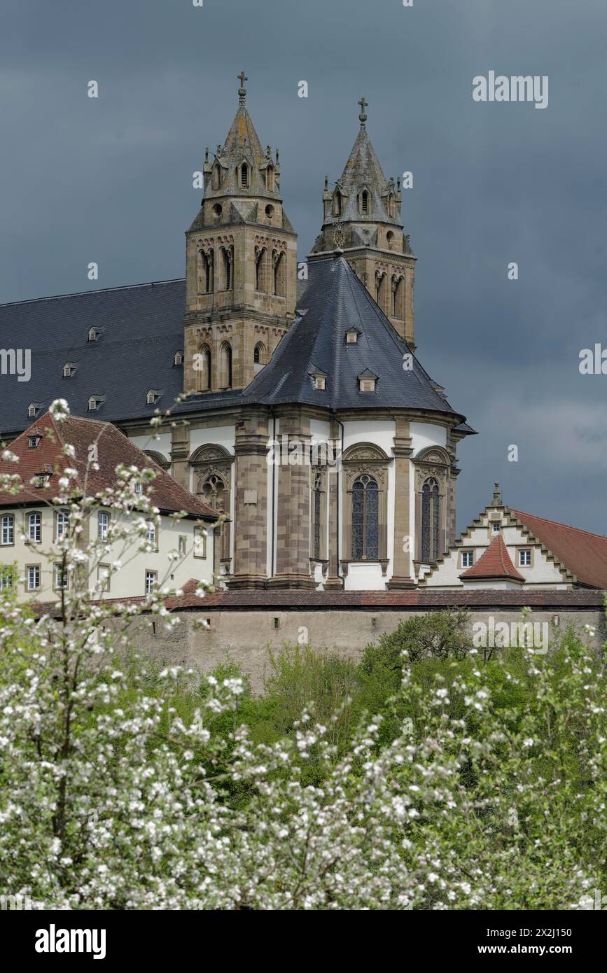 Blick auf die Comburg, Obstblüte, Obstbaum, Frühling, April, Jakobsweg, Benediktinerkloster, Kloster, Benediktinerorden, Schloss Stockfoto
