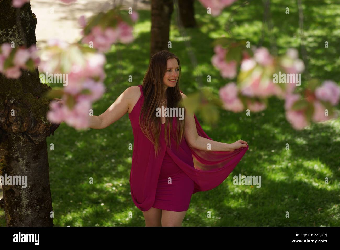 Ein Porträt einer Europäerin in einem burgunderroten Kleid, die natürlich und warm in die Kamera lächelt. Sie wird von Kirschblüten flankiert, die im Nebel verschwimmen Stockfoto