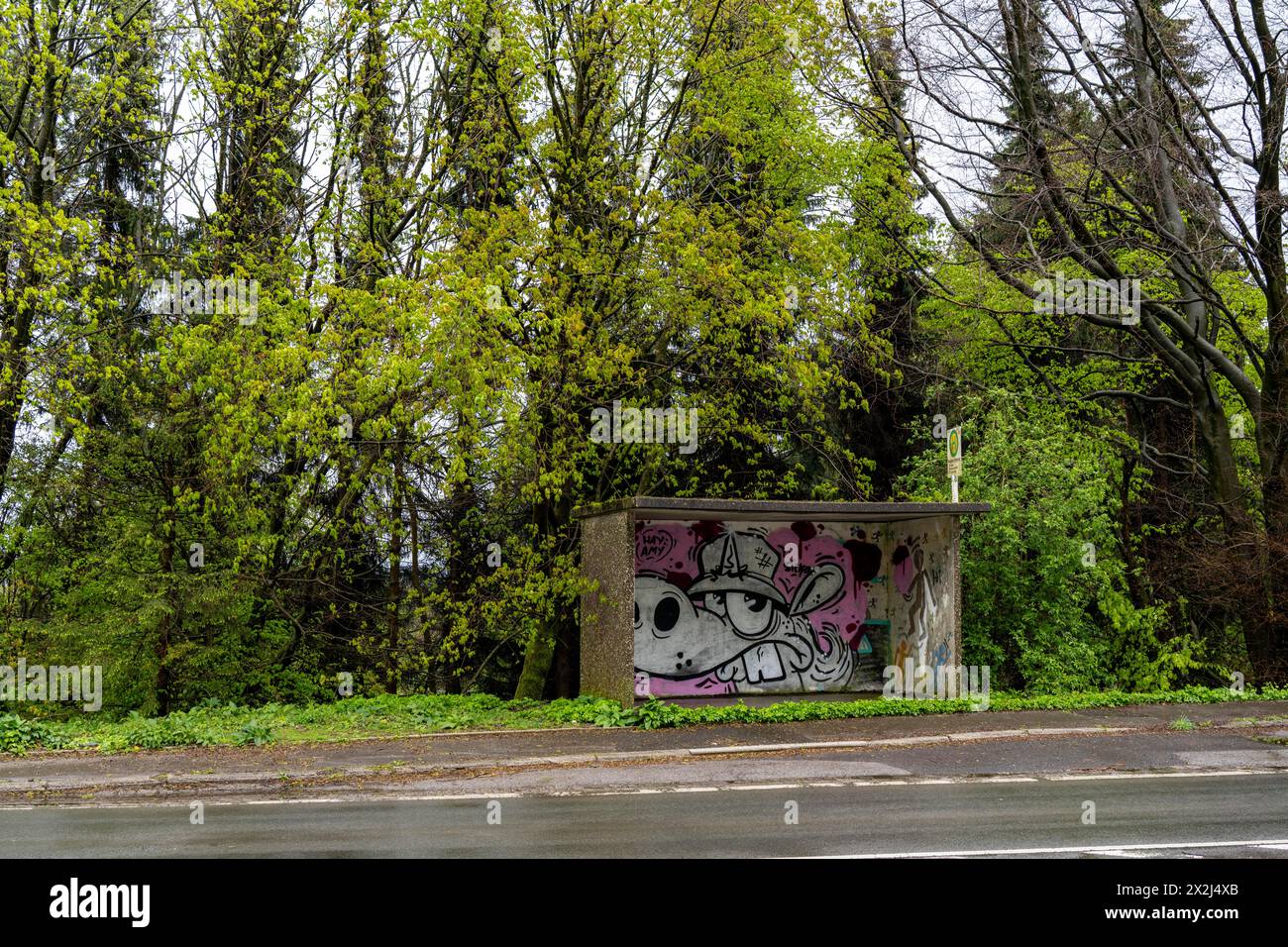 Bushaltestelle, Nahverkehr auf dem Land, nahe Breckerfeld-Wengeberg, Brantender Straße, L528, Ennepe-Ruhr-Kreis, NRW, Deutschland, Stockfoto