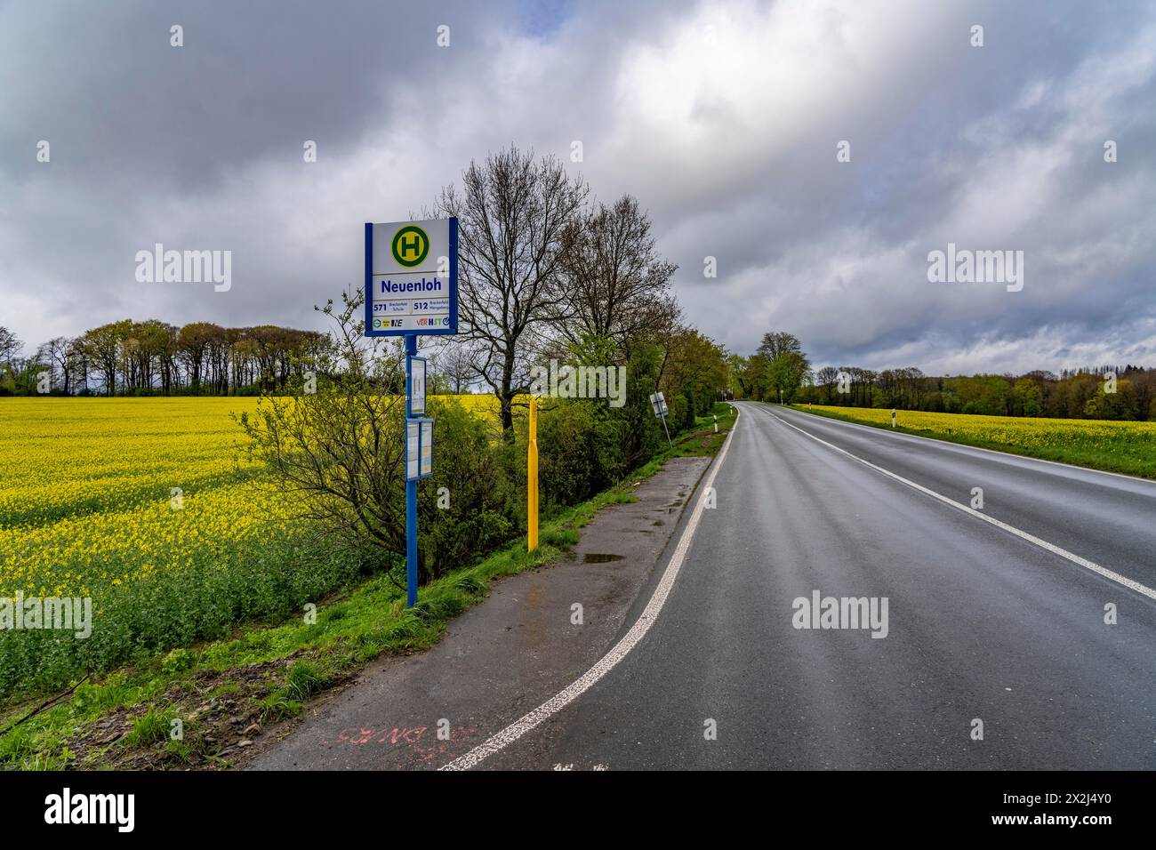 Bushaltestelle, Nahverkehr auf dem Land, nahe Breckerfeld, Haltestelle Neuenloh, an der L528, Ennepe-Ruhr, NRW, Deutschland, Stockfoto