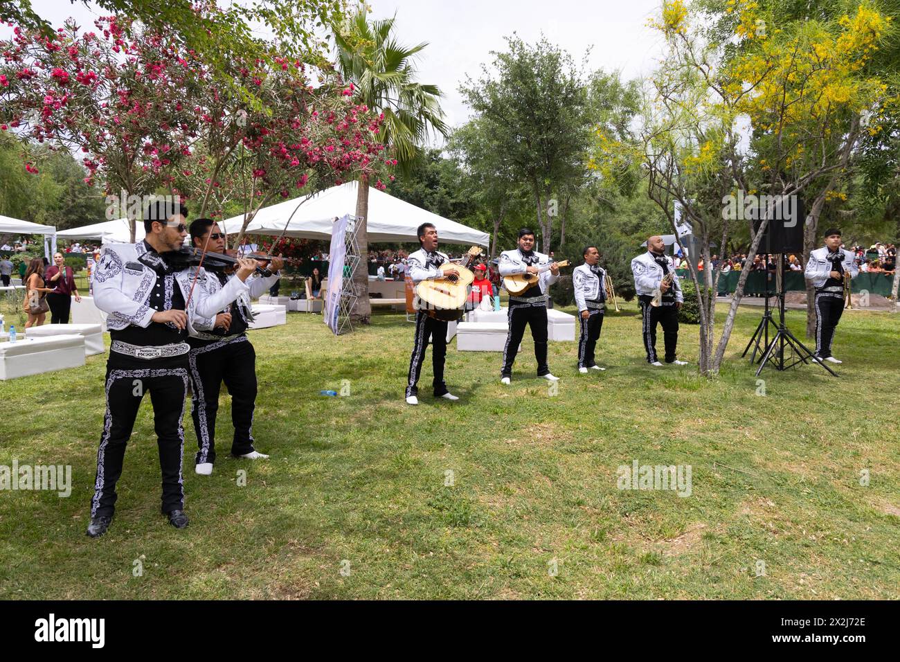 Mexiko-Kultur; Mariachi-Band – eine traditionelle mexikanische Musikgruppe, die mexikanische Volksmusik spielt; Torreon, Mexiko Stockfoto