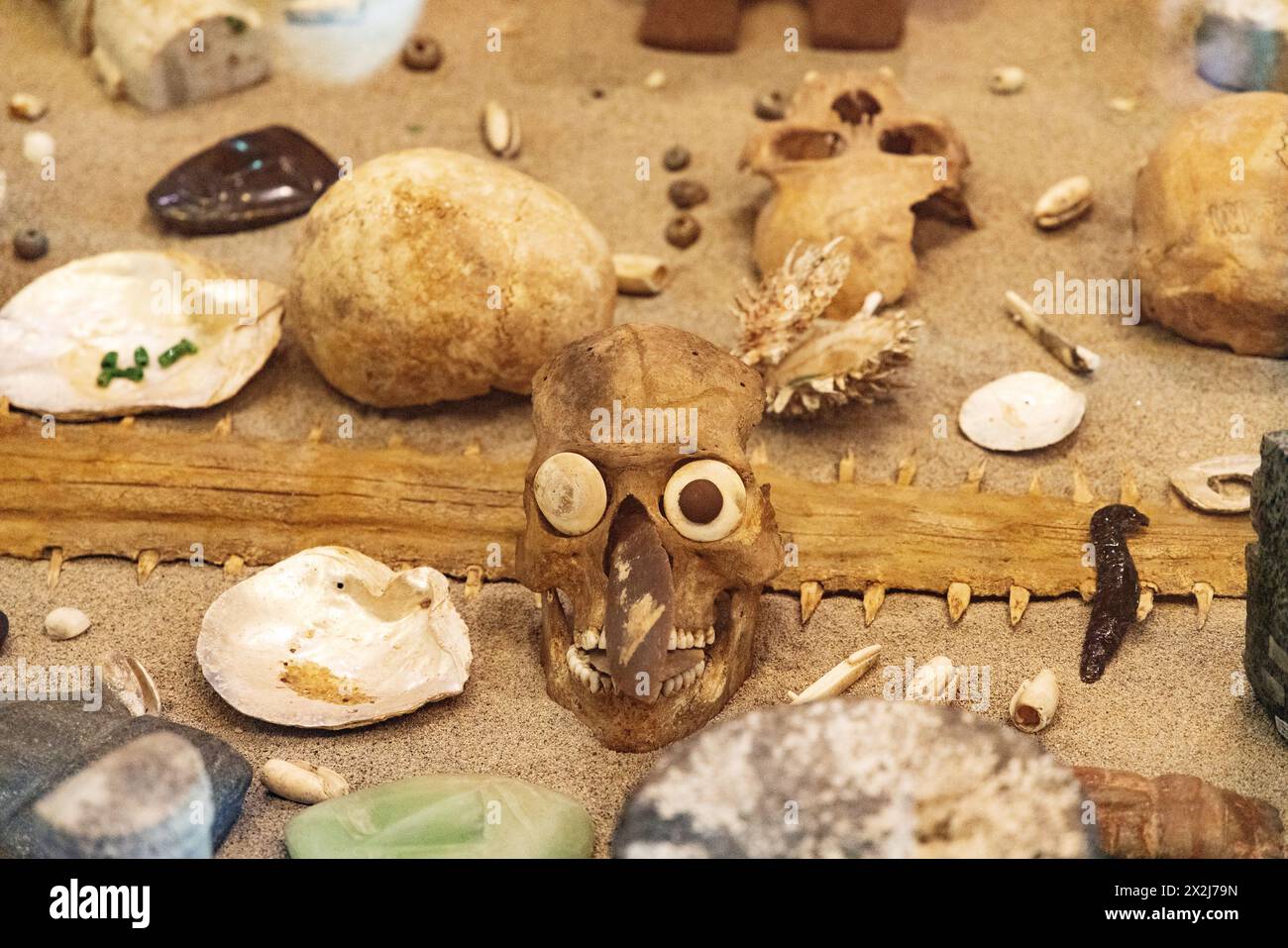 Aztekische Opfergaben wie gefunden, mit Schädel, Perlen, Sägefischsäge, Muscheln; antike Zivilisation und Kultur Nationalmuseum für Anthropologie, Mexiko-Stadt Mexiko Stockfoto